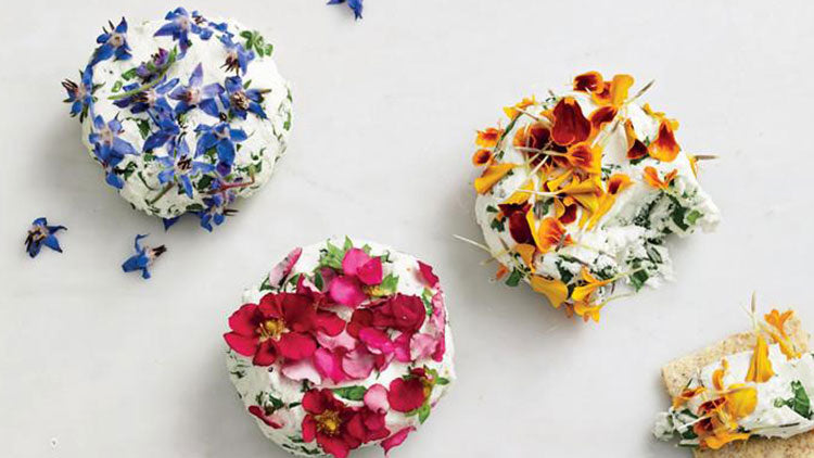 Edible Flowers
